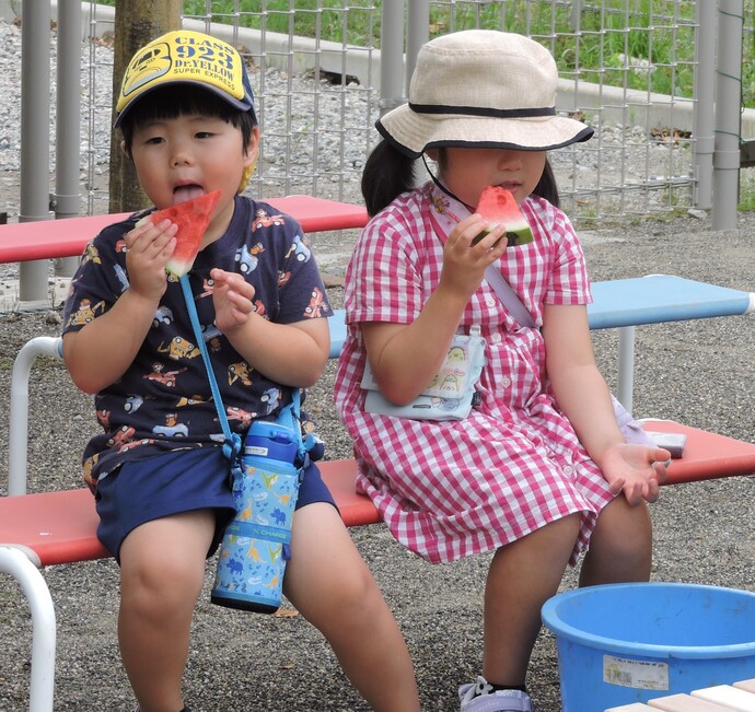 スイカを食べている写真