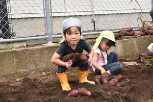 さつまいもを抱える園児