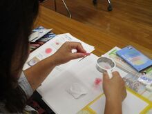 写真:パステルを削っている様子