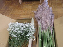 写真：花材のパンパスグラスとハイブリッドスターチス