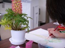 写真：色を塗っている様子