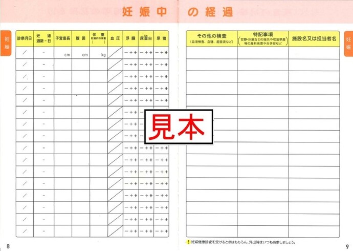 妊娠中の経過のページ
