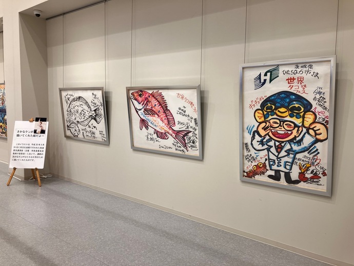 さかなクンの描いたイラストが展示されている様子
