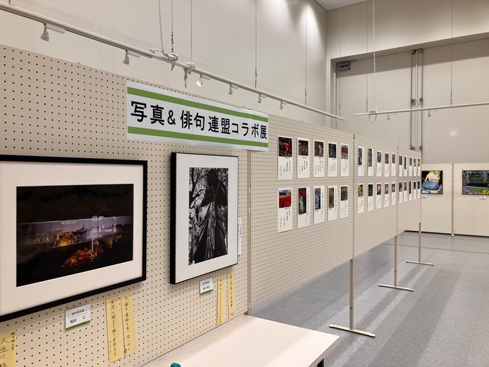 市俳句連盟とコラボした作品が多数展示されている様子
