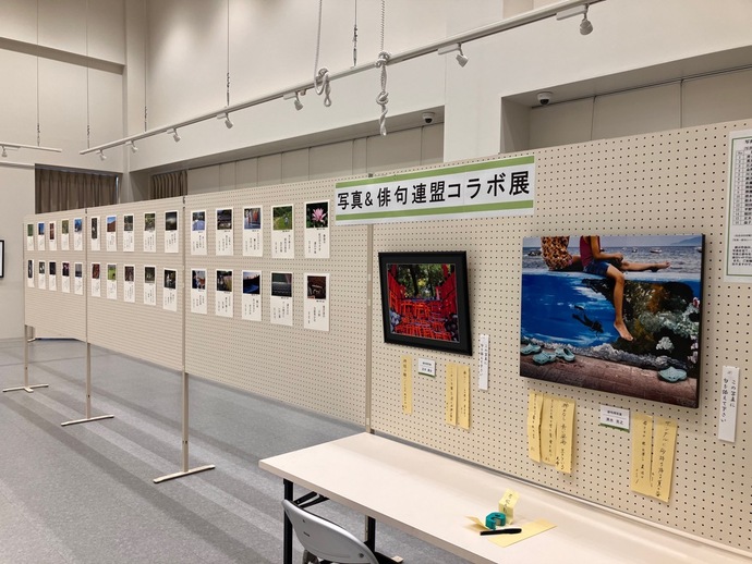 市俳句連盟とコラボした作品が多数展示されている様子