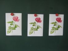 写真：塗り絵をすすめる段階ごとの資料