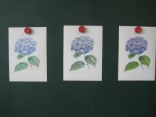 写真：塗り絵をすすめる段階ごとの資料