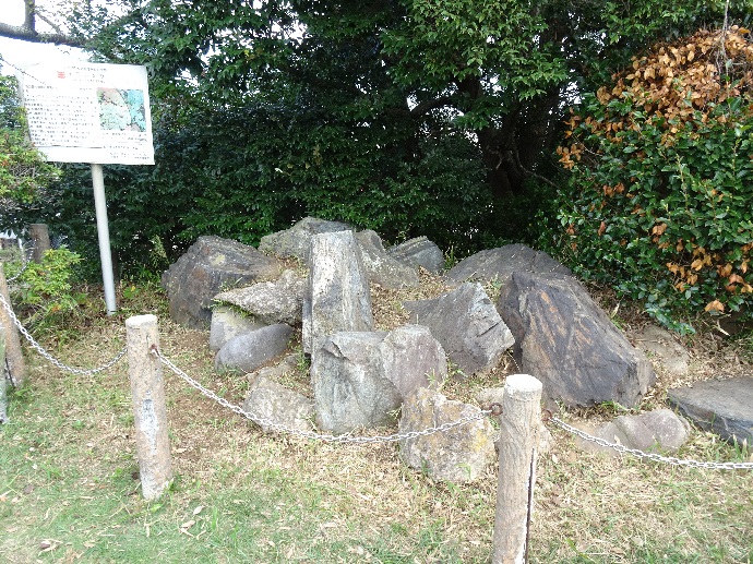 策で囲った中に、3m四方程度の大きさの岩があり、柵内にイワレンゲの案内板が立ててある。