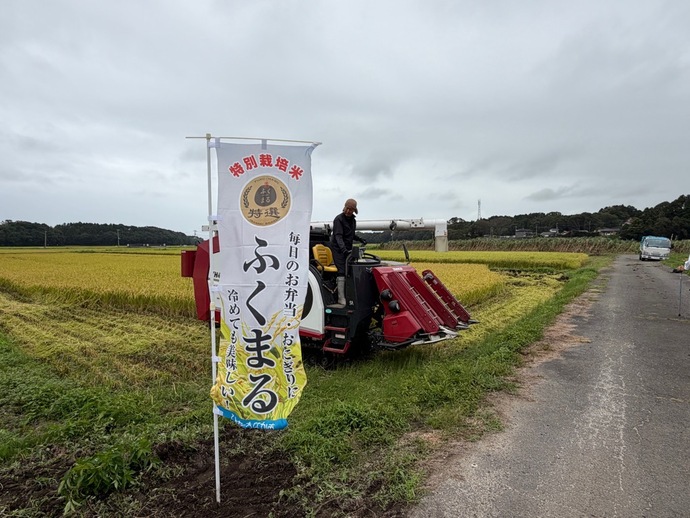 稲刈り